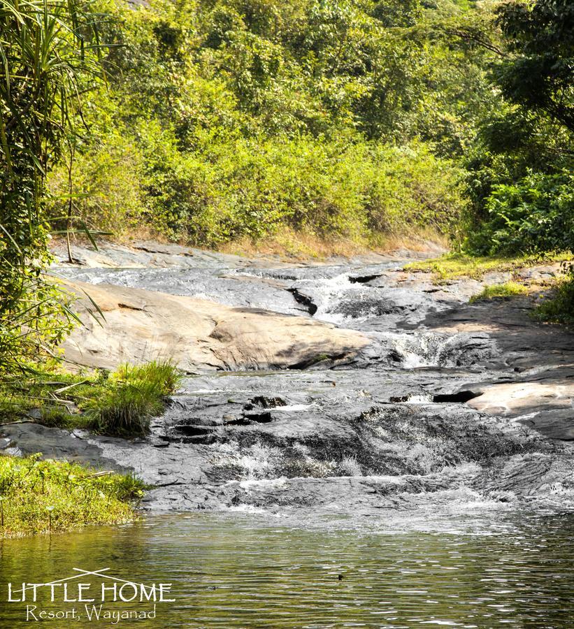 Little Home Resort Vythiri Exterior photo